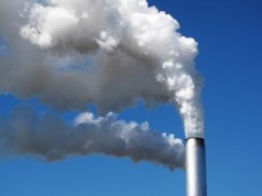 Kolejny kryzys na horyzoncie. Europejskie cukrownie padają