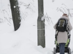 Tajemnica nieodśnieżanych chodników? Trybunał Konstytucyjny uznał kiedyś, że takie prawo jest dobre