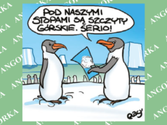 Naukowcy stworzyli podlodowcową mapę Antarktydy