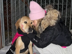 Doda uderza w rząd Tuska. „Nikt wam nie pomoże”
