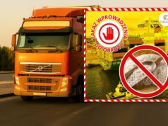 Szkodniki, pleśń i fałszywe etykiety! Inspektorzy ujawniają kulisy importu żywności