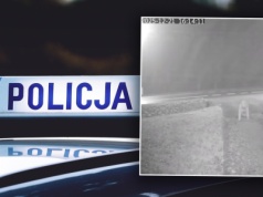 Na kolanach czołgała się po ruchliwej drodze. Nikt nie pomógł seniorce. To nagranie mrozi krew w żyłach