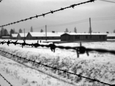 "Sterty wychudzonych ciał". 81 lat temu wyzwolono niemiecki obóz Auschwitz