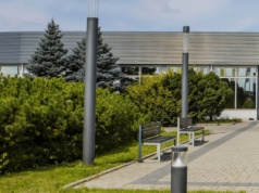 Akcje Forte w dół po wynikach