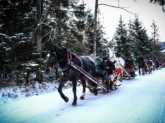 Kulig w Dolinie Chochołowskiej – zimowa przygoda w sercu Tatr