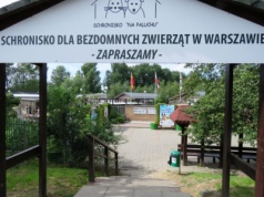 Kontrola NIK w warszawskim schronisku “Na Paluchu”. Najpierw skontrolują ratusz