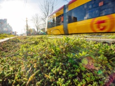 Zielone torowisko i nowoczesne przystanki na Grochowskiej w 2027 roku