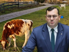 Groźby i gnojowica przed domem ministra. Decyzja sądu w sprawie aresztu