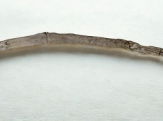 Patyk sprzed 430 tys. lat. To najstarsze drewniane narzędzia ludzkości