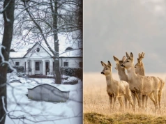 Tutaj odnajdziesz spokój zimą. To tylko godzina drogi od Warszawy