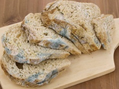 Gdzie wyrzucić stary chleb? Nagminnie popełniamy błąd