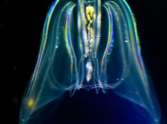 To jedna z największych zagadek nauki. Dlaczego tak trudno ją rozwiązać?