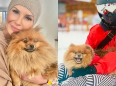 Joanna Racewicz pokazała zdjęcie psa. Wspomniała o sytuacji w schroniskach