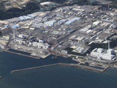 Radioaktywna woda z Fukushimy tętni życiem. Odkryli unikalne cechy