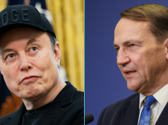 Elon Musk w ostrych słowach zwrócił się do Sikorskiego. Nie spodobał mu się wpis polityka