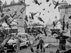 Sony World Photography Awards 2026. Młodzi gniewni fotografii wybrani – finał w kwietniu