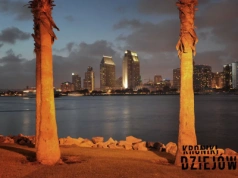 Nagie ciało, liny i tajemniczy napis. Dziwna sprawa Rebekki Zahau