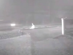 Potrącona 85-latka leżała na jezdni, wołając o pomoc. Auta tylko ją mijały