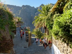 Groźny komar na wakacyjnej wyspie. Służby monitorują sytuację