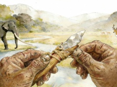 Narzędzia z Chin przesuwają historię ludzkości. Ewolucja człowieka do zmiany