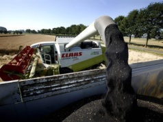 PSPO: Przerób rzepaku w Polsce potwierdza, że sytuacja krajowego przemysłu olejarskiego jest coraz trudniejsza