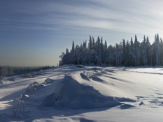 Tragedia na Przełęczy Diatłowa, 65 lat tajemnicy