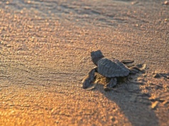 Ten widok zapiera dech. "Kluczowa jest temperatura"