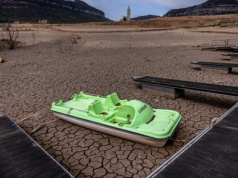 Brytyjski wywiad o scenariuszach zmian klimatu. „Globalna walka o żywność”