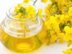 Rzepaku zaczyna brakować! Tłocznie alarmują: przemysł olejarski na skraju kryzysu