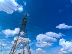 Odszkodowania za słupy. Polacy ruszyli po pieniądze. Tyle można dostać