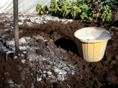 Posyp trawnik tym białym proszkiem. Wiosną sąsiedzi zapytają, co zrobiłeś