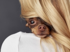 Zaciera się kulturowa granica między człowiekiem a zwierzęciem