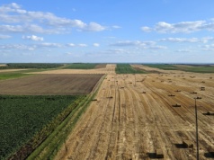 Ukraiński oligarcha przejmuje dziesiątki tysięcy hektarów ziemi. Rośnie imperium