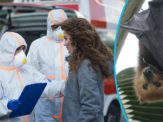 Globaliści straszą świat nową pandemią wirusa Nipah