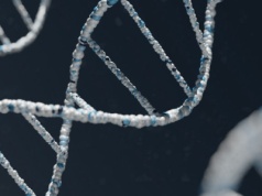 Właśnie opanowaliśmy "język programowania człowieka". Wszystko dzięki tej jednej rzeczy