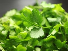 Tę przyprawę się kocha albo nienawidzi. Niewielu wie, że doskonale wspiera trawienie