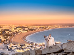 Zrób sobie przerwę na Maroko 🐫✨ Przedłużony weekend w Agadirze za 869 PLN⛱️🕌