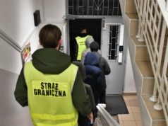 Nielegalna praca i fałszywe dokumenty – Straż Graniczna w akcji!