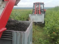 Aktywny rolnik - kto dostanie dopłaty bez udowadniania, że faktycznie jest rolnikiem?