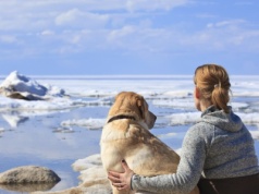 Psy wyczuwają strach opiekuna. Mają niebywałą zdolność