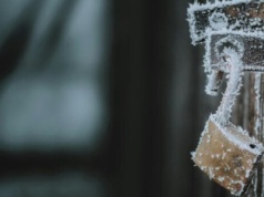 Siarczysty mróz w rejonie wileńskim. Jest decyzja w sprawie szkół