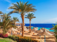 Egipskie wczasy na 7 dni 🌊💦🎢 4* hotel z all inclusive w Szarm el-Szejk za 1944 PLN