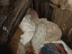 Przez mrozem chronią się w nietypowych miejscach. Pomoc bezdomnym w Zduńskiej Woli