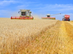 Agromperium rośnie. 41 tys. hektarów więcej i elewatory na 200 tys. ton ziarna