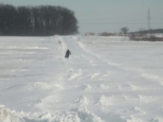Cały kraj szykuje się na nadejście najsilniejszych mrozów. Będą otwarte dworce, miejsca do ogrzania i specjalne patrole