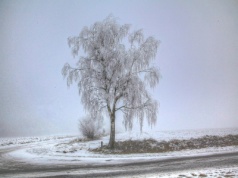 Silny atak zimy w Polsce. Nadciąga fala mrozów i śnieżyce