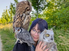 Jak Harry Potter zrobił krzywdę sowom. „Wiele ptaków umierało w krótkim czasie”