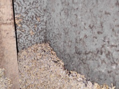 Mróz a szkodniki magazynowe. W jakiej temperaturze giną?