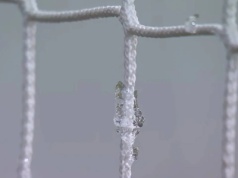 Awaria w Ekstraklasie. Zimowy chaos po wznowieniu rozgrywek