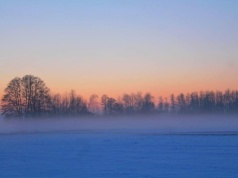 Silny mróz w Polsce minionej nocy. Temperatura przy gruncie spadła lokalnie do –24°C